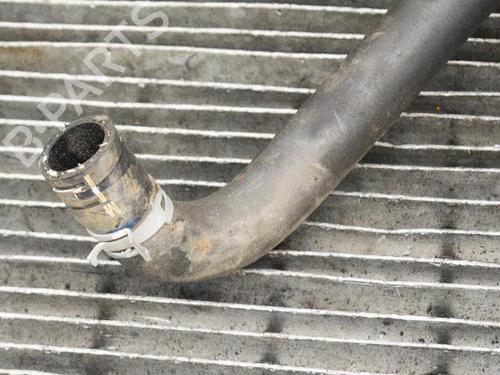 Pipe NISSAN JUKE (F15) 1.5 dCi CK1320580