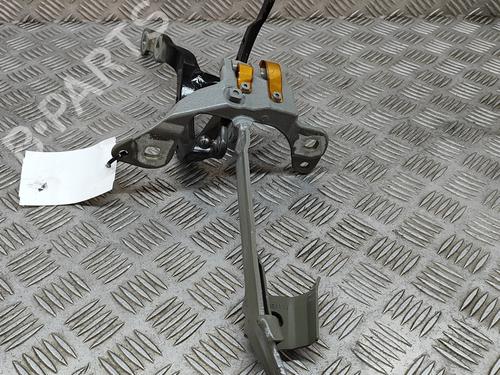 Used Hinge/Door check strap BMW 3 Touring (G21, G81) 330 e Plug-in-Hybrid xDrive (292 hp) 27774967