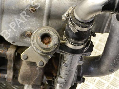 Engine NISSAN PRIMERA (P12) 2.2 dCi | BP8624274M1 