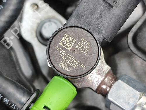 Engine FORD TRANSIT CUSTOM V362 Bus (F3) 2.0 EcoBlue mHEV | BP36952311M1 - Image 8