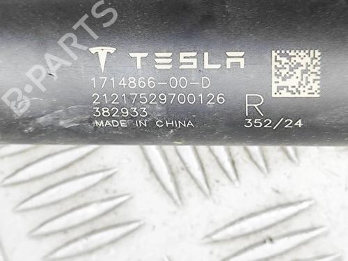 Tailgate lift support TESLA MODEL 3 (5YJ3) EV | BP33697622C138 - Image 7
