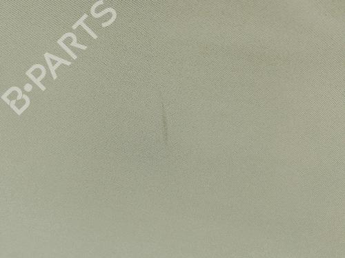 Cielo abitacolo NISSAN LEAF (ZE1) Electric | BP32088784I12 