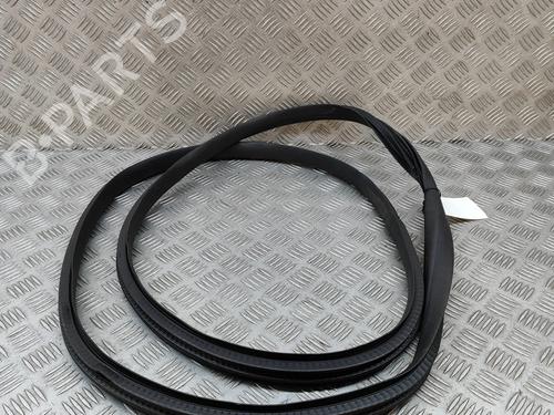 Gummiliste RENAULT AUSTRAL E-TECH 200 Hybrid (HGM2) | BP29007686C142 - Image 5