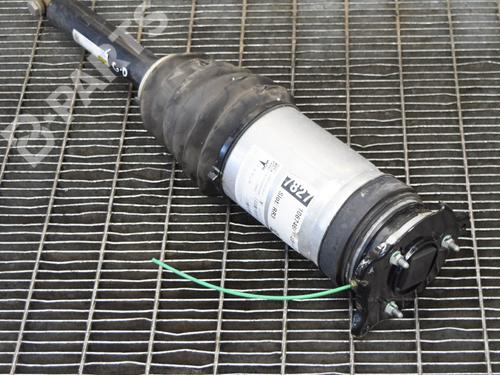 BP7798377M19 main image