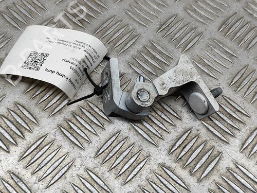 Hinge/Door check strap AUDI A5 Sportback (F5A, F5F) 2.0 TDI | BP16141134C146 