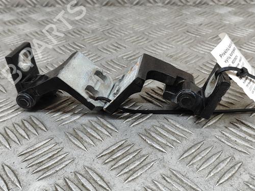 Hinge/Door check strap MASERATI QUATTROPORTE VI 3.0 D | BP24818465C146 