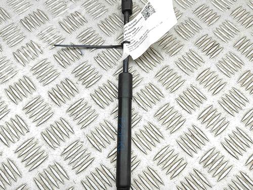 Hood lift support BMW X3 (F25) xDrive 20 d | BP29392427C139 