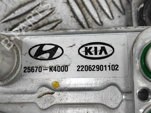 Other HYUNDAI KONA (OS, OSE, OSI) EV | BP27780763O1