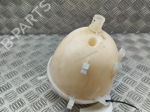 Expansion tank VW TRANSPORTER T6 Van (SGA, SGH, SHA, SHH) 2.0 TDI | BP29920496C120