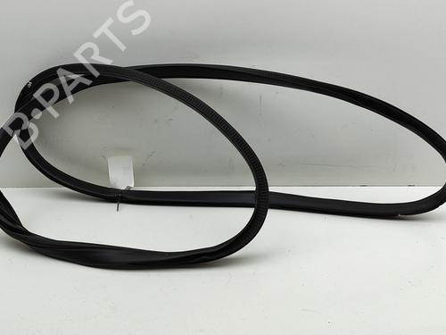 Rubber door seal TESLA MODEL X (5YJX) P100D AWD | BP28435543C142 