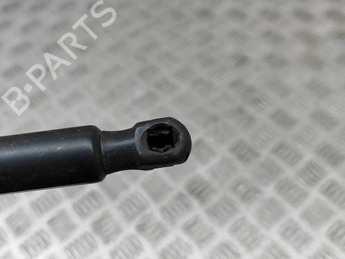 Tailgate lift support VW SHARAN (7N1, 7N2) 2.0 TDI | BP27645014C138 