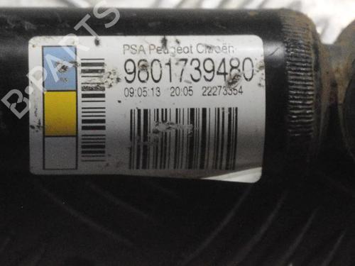 Left rear shock absorber CITROËN C3 II (SC_) 1.6 VTi 120 | BP6717295M18 