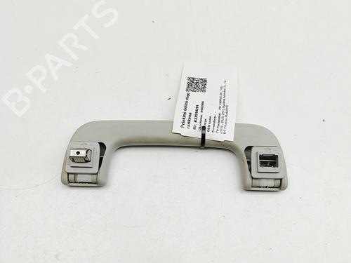 Interior roof handle VW AMAROK (2HA, 2HB, S1B, S6B, S7A, S7B, AGD) 2.0 BiTDI 4motion | BP31314919I35 