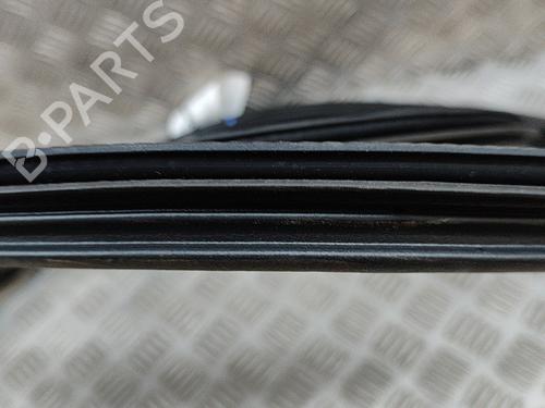 Rubber door seal AUDI Q5 (FYB, FYG) SQ5 TFSI quattro | BP19502621C142 