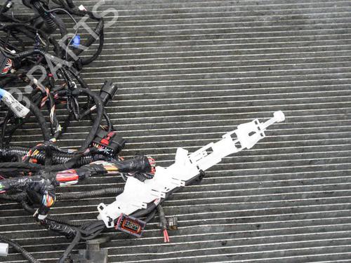 Wiring harness TESLA MODEL S (5YJS) 75D AWD | BP20233090E16 