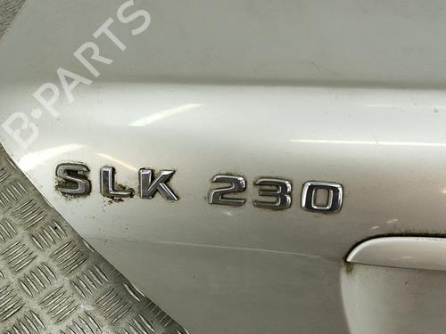 Tailgate MERCEDES-BENZ SLK (R170) 230 Kompressor (170.447) | BP24306791C6 
