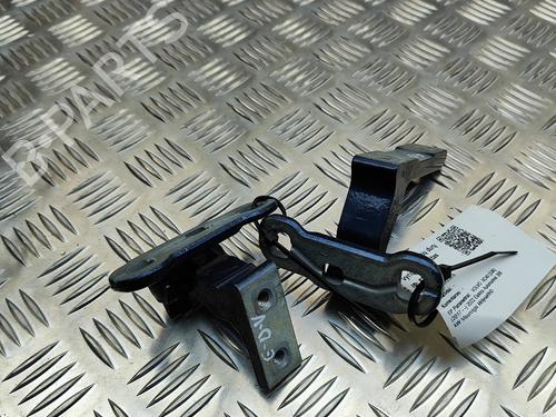 Hinge/Door check strap VOLVO XC40 (536) Recharge AWD | BP29076059C146 