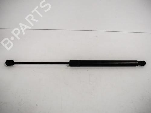 Used Tailgate lift support AUDI Q5 (8RB) 2.0 TDI quattro (143 hp) 14659487