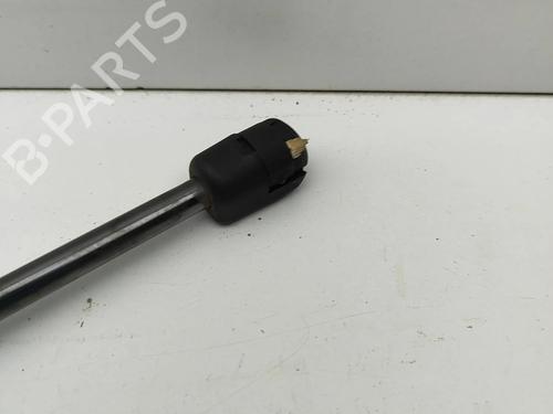 Tailgate lift support LAND ROVER RANGE ROVER EVOQUE (L538) 2.0 D 4x4 | BP28434309C138 