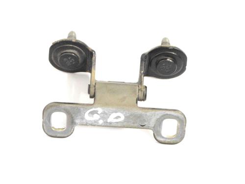 Used Hinge/Door check strap VW ROUTAN 3.6 (267 hp) 30220785