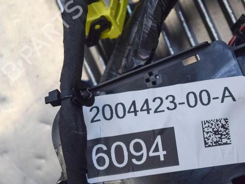 Wiring harness TESLA MODEL S (5YJS) 75D AWD | BP20233363E16 