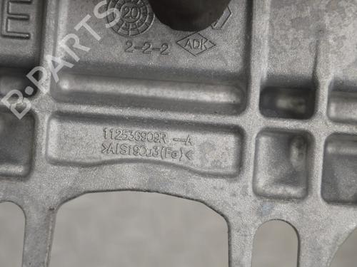 Engine mount NISSAN JUKE (F16_) DIG-T 117 | BP30239149M89