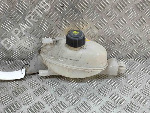 Used Expansion tank OPEL MOVANO B Van (X62) 2.3 CDTI FWD (FV) (131 hp) 27205727