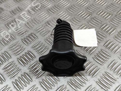 Support VW GOLF VII (5G1, BQ1, BE1, BE2) e-Golf | BP27350499C155 