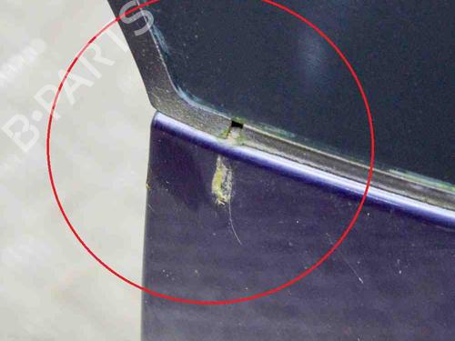 Tailgate OPEL SIGNUM Hatchback (Z03) 2.2 direct (F48) | BP29752778C6