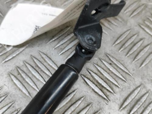 Hood lift support LEXUS NX (_Z1_) 300h AWD (AYZ15_, AYZ15R) | BP27789979C139