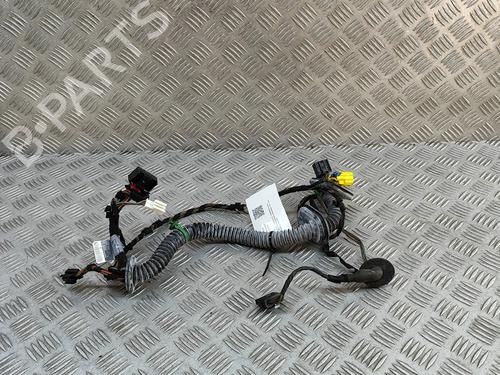 Wiring harness PORSCHE PANAMERA (970) 3.6 4 | BP27799439E16