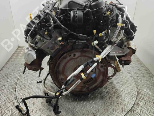 Engine FORD USA MUSTANG Coupe 5.0 V8 | BP28555585M1