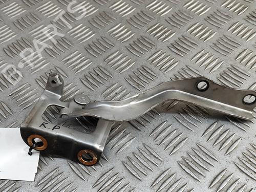 Hinge/Door check strap TOYOTA PRIUS (_W3_) 1.8 Hybrid (ZVW3_) | BP28811904C146 