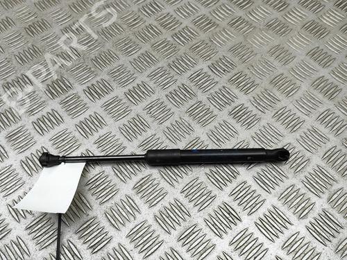 hood-lift-support-renault-austral-2022-33962146 main image