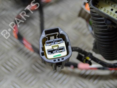 Wiring harness TESLA MODEL S (5YJS) 85 | BP14646857E16 