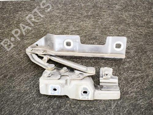 Hinge/Door check strap OPEL ASTRA J (P10) 1.6 (68) 20879202