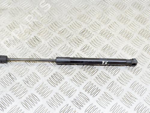 Used Hood lift support TESLA MODEL 3 (5YJ3) EV AWD (351 hp) 27752893