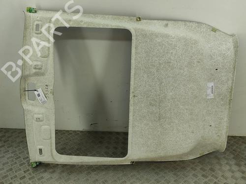 Tecto interior FIAT 500 (312_) 1.0 Mild Hybrid (312.AYD1B) | BP28566137I12