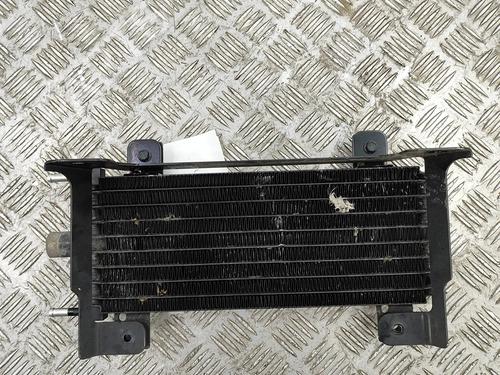 Used Oil radiator NISSAN QASHQAI III (J12) 1.3 DIG-T (158 hp) 28553853