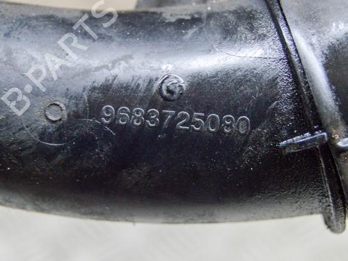 Pipe PEUGEOT 3008 I MPV (0U_) 1.6 HDi | BP11395806M125 