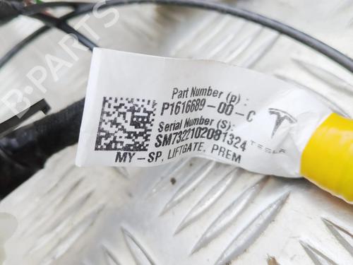 Wiring harness TESLA MODEL Y (5YJY) EV Performance All-wheel Drive | BP38783130E16 - Image 6