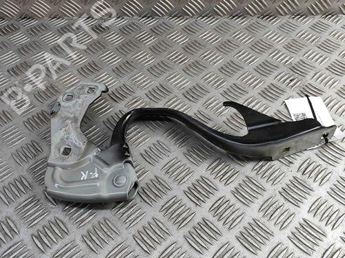 Hinge/Door check strap FIAT 500 (312_) 1.0 Mild Hybrid (312.AYD1B) | BP29373383C146 