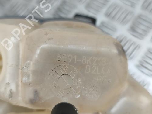 Expansion tank FORD S-MAX (WA6) 2.0 TDCi | BP27331156C120