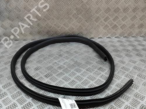 rubber-door-seal-nissan-qashqai-iii-j12-2021-28554823 main image