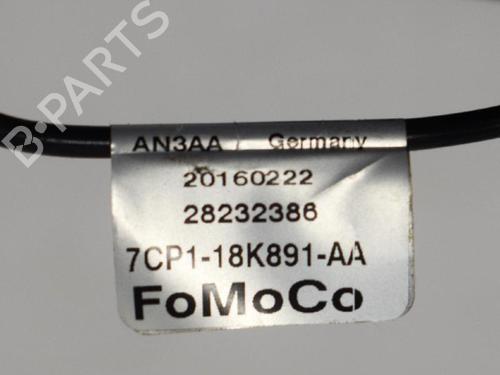 Electronic module FORD FOCUS III 1.0 EcoBoost | BP7731654M83 
