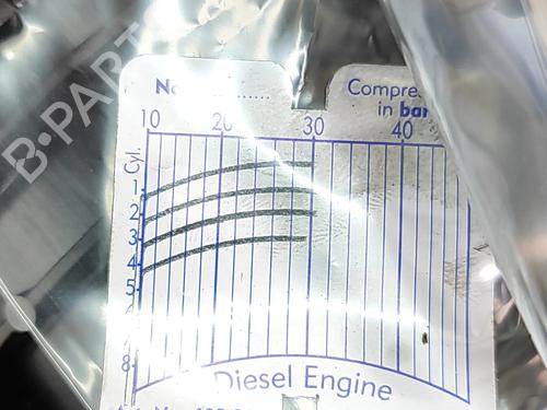 Engine LAND ROVER RANGE ROVER VELAR (L560) 2.0 D200 MHEV 4x4 | BP28434211M1 