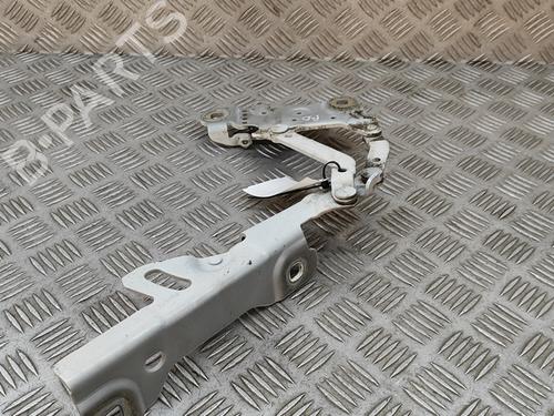 Hinge/Door check strap BMW 3 Touring (F31) 318 d xDrive | BP29076202C146 