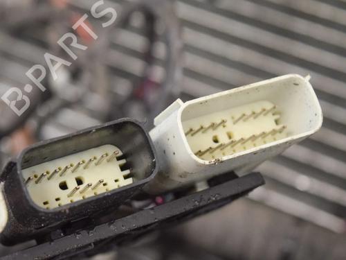 Wiring harness TESLA MODEL S (5YJS) 75D AWD | BP20233102E16 