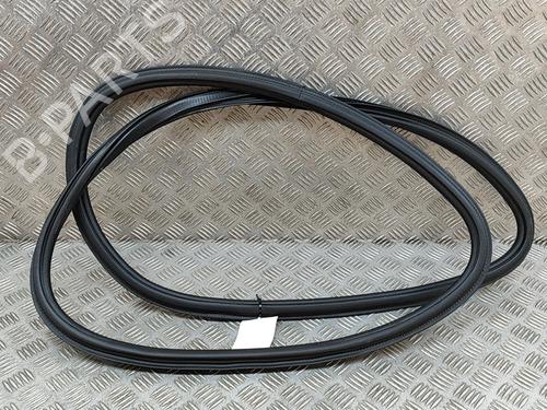 Rubber door seal AUDI Q5 (FYB, FYG) SQ5 TFSI quattro | BP19502622C142 