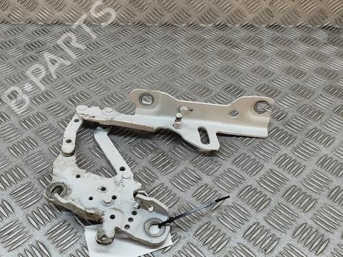 Used Hinge/Door check strap BMW 3 Touring (F31) 318 d xDrive (143 hp) 29076203